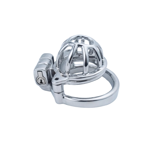 2 in 1 Custom Chastity Cage Chastitycage.cc