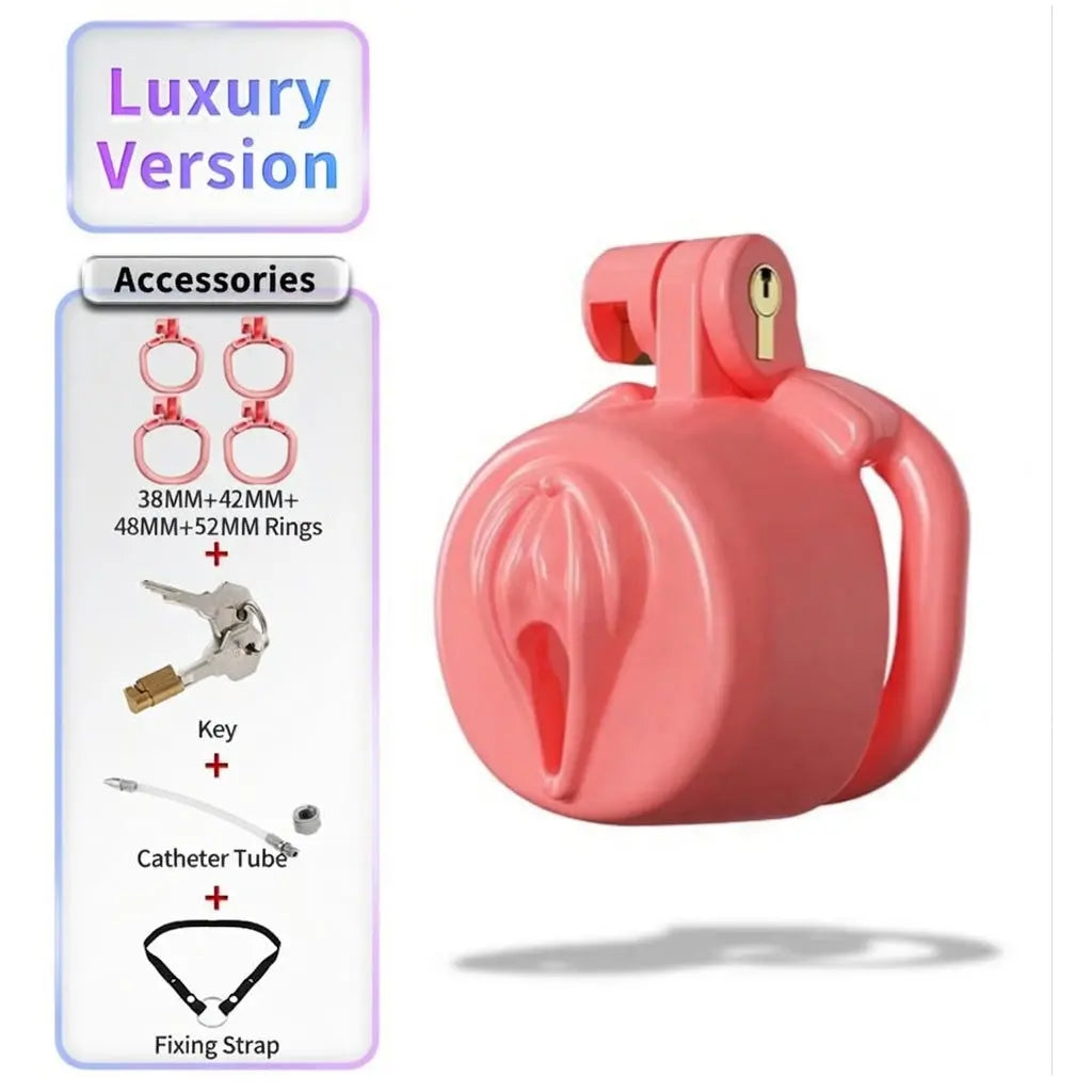 BDSM Sissy Chastity Cage 03 ChastityCageInt