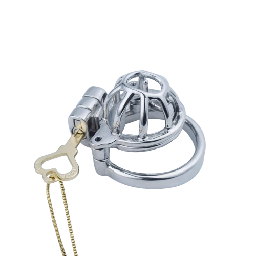 2 in 1 Custom Chastity Cage Chastitycage.cc