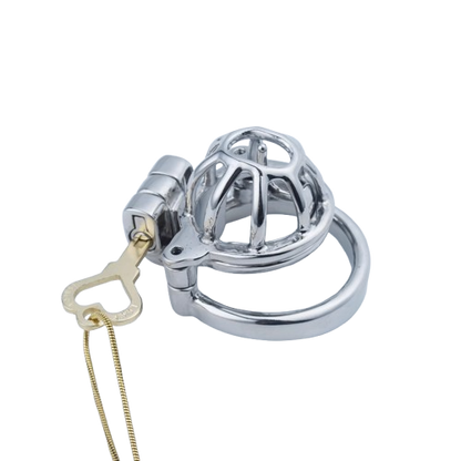 2 in 1 Custom Chastity Cage Chastitycage.cc
