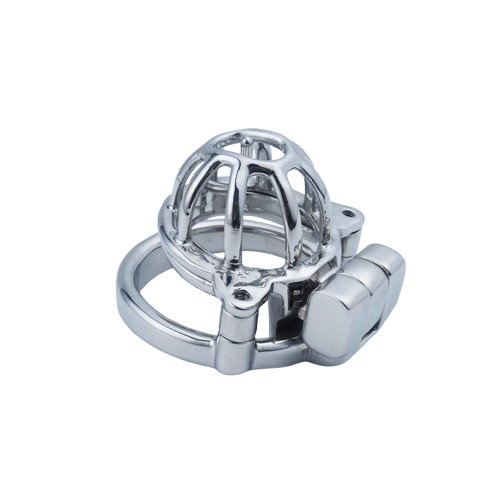 2 in 1 Custom Chastity Cage Chastitycage.cc