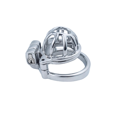 2 in 1 Custom Chastity Cage Chastitycage.cc