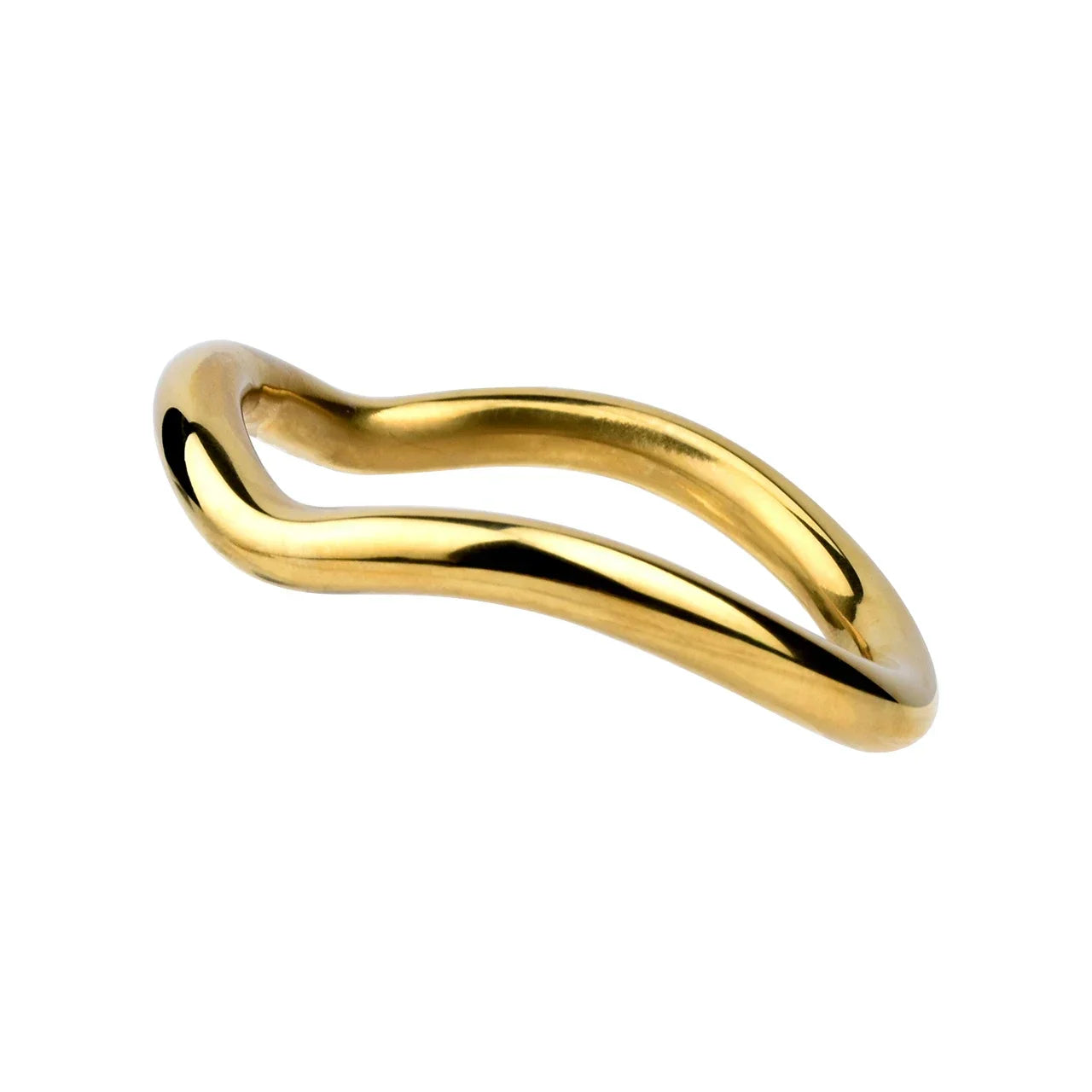 Stainless Steel Testicle Ring Stretcher Chastitycage.cc