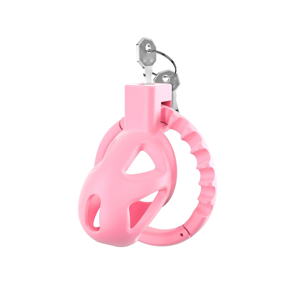 Chastity Cage with 8 Adjustable Cock Ring