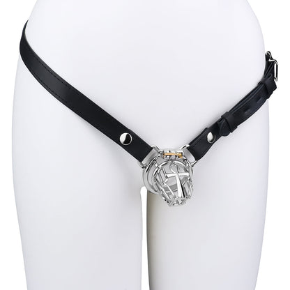 Cosmic Axis Chastity Lock Chastitycage.cc