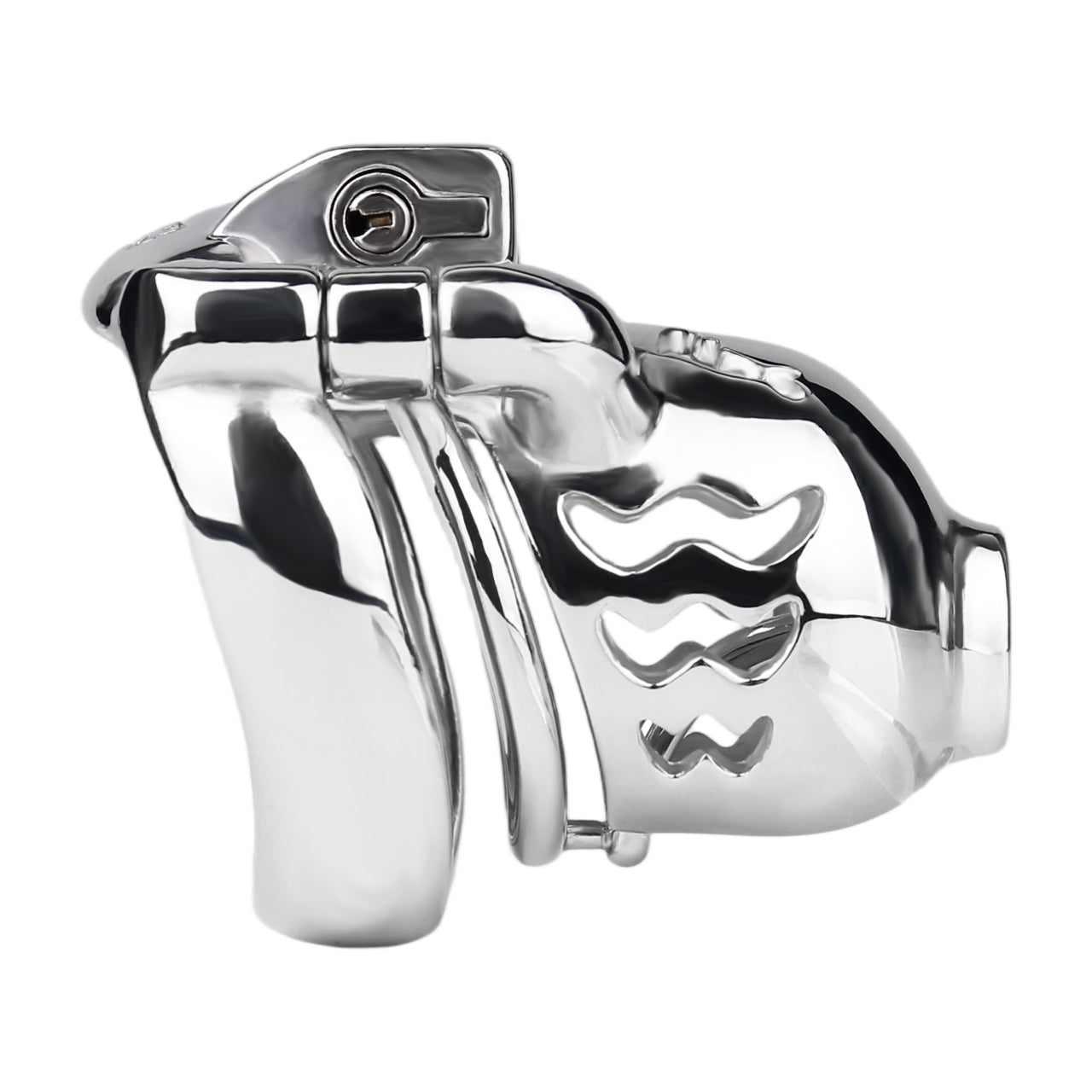 Dolphin Chastity Cage With PA Piercing Chastitycage.cc