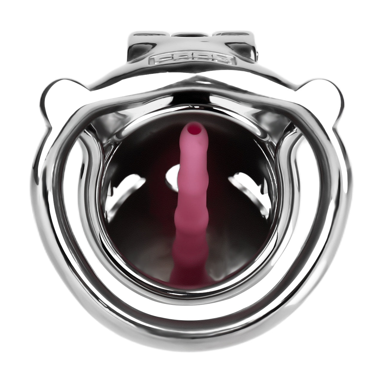 Dolphin Steel Chastity Cage with Anti-ring Removable Chastitycage.cc