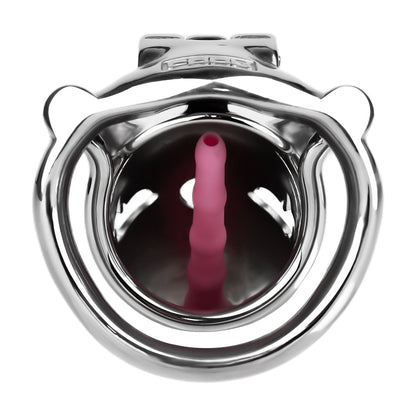 Dolphin Steel Chastity Cage with Anti-ring Removable Chastitycage.cc