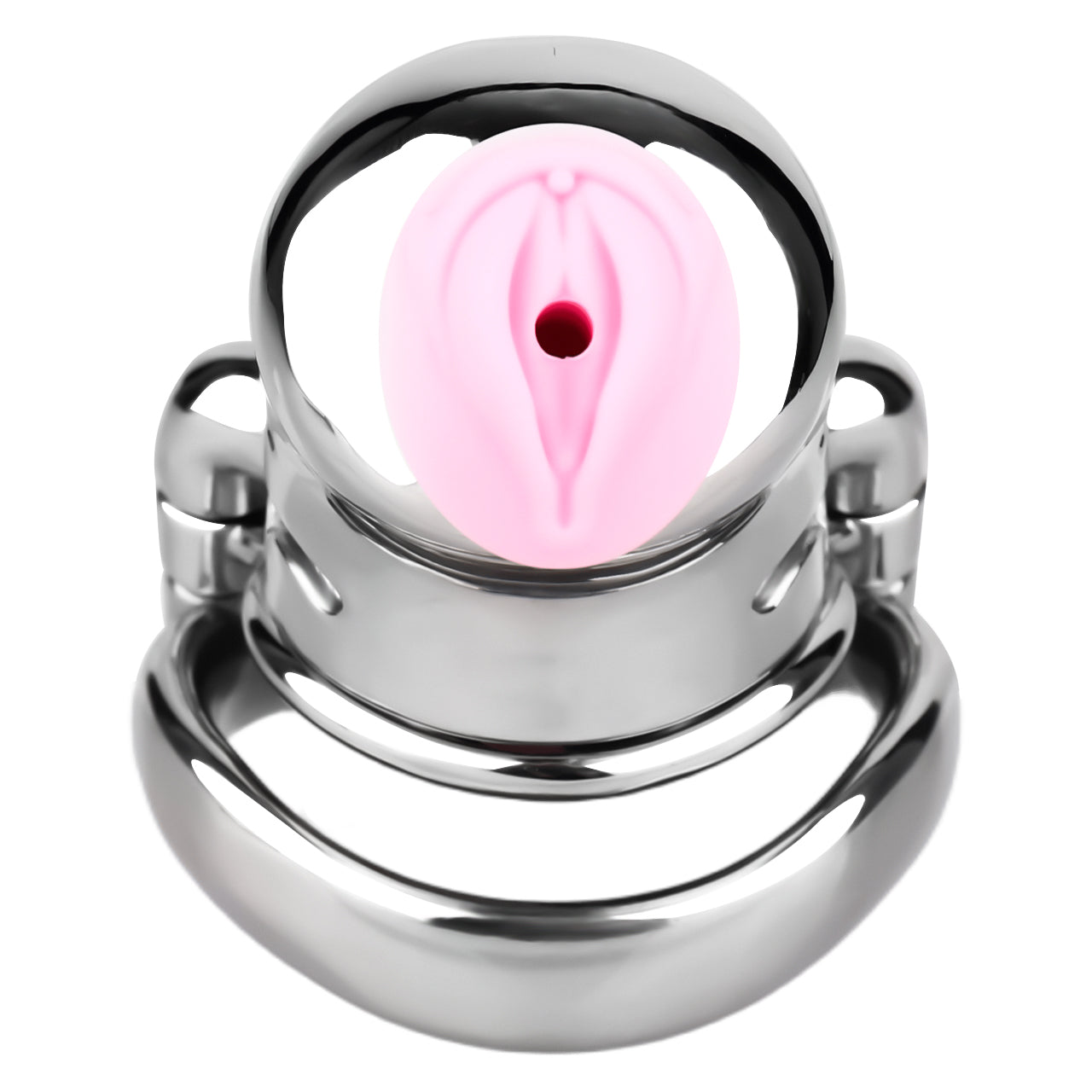 Dolphin Steel Chastity Cage with Anti-ring Removable Chastitycage.cc
