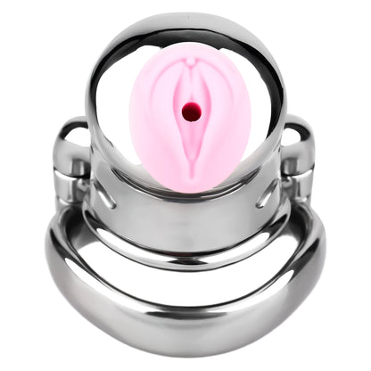 Dolphin Steel Chastity Cage with Anti-ring Removable Chastitycage.cc