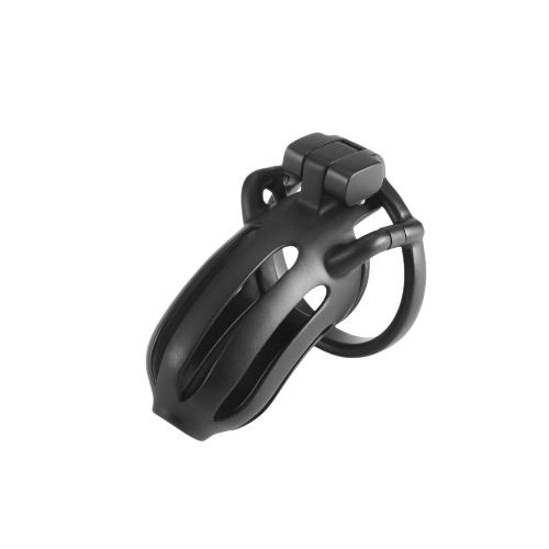 Dragon Prison Custom Steel Chastity Cage Chastitycage.cc