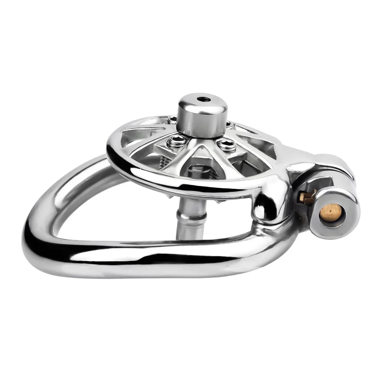 Flat Cock Cage With Spikes Removable Chastitycage.cc