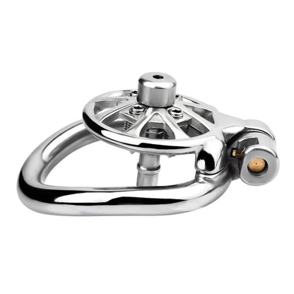 Flat Cock Cage With Spikes Removable Chastitycage.cc