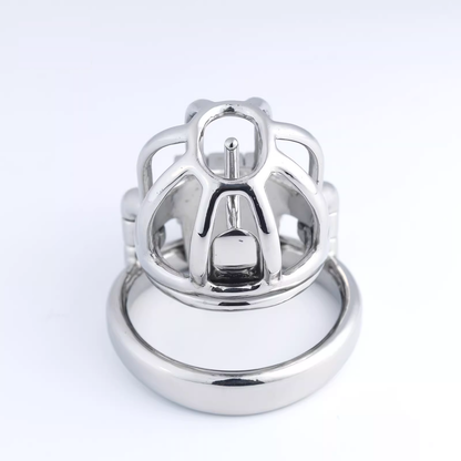 Steel Custom Chastity Cage With PA T14 Chastitycage.cc