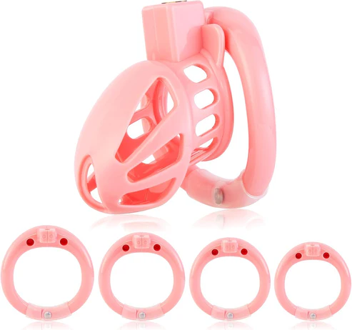 Lightweight Vertical Invisible Lock Chastitycage.cc