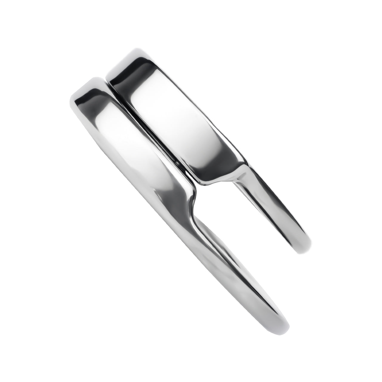 Lockable Stainless Steel Ring Chastitycage.cc