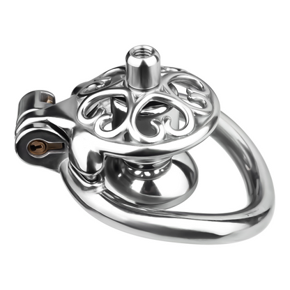 Locked In Love Chastity Cage Chastitycage.cc