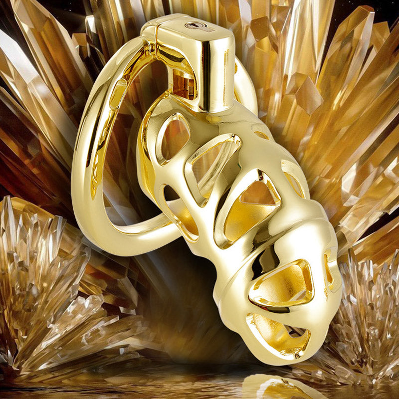 Aluminum Alloy Luxury Chastity Cage