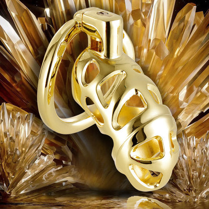 Aluminum Alloy Luxury Chastity Cage