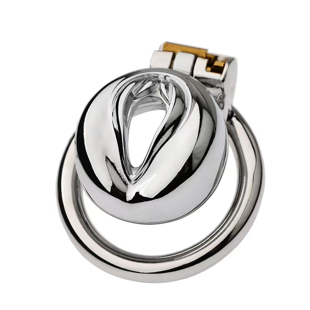 Multi Style Stainless Steel Pussy Cock Cage