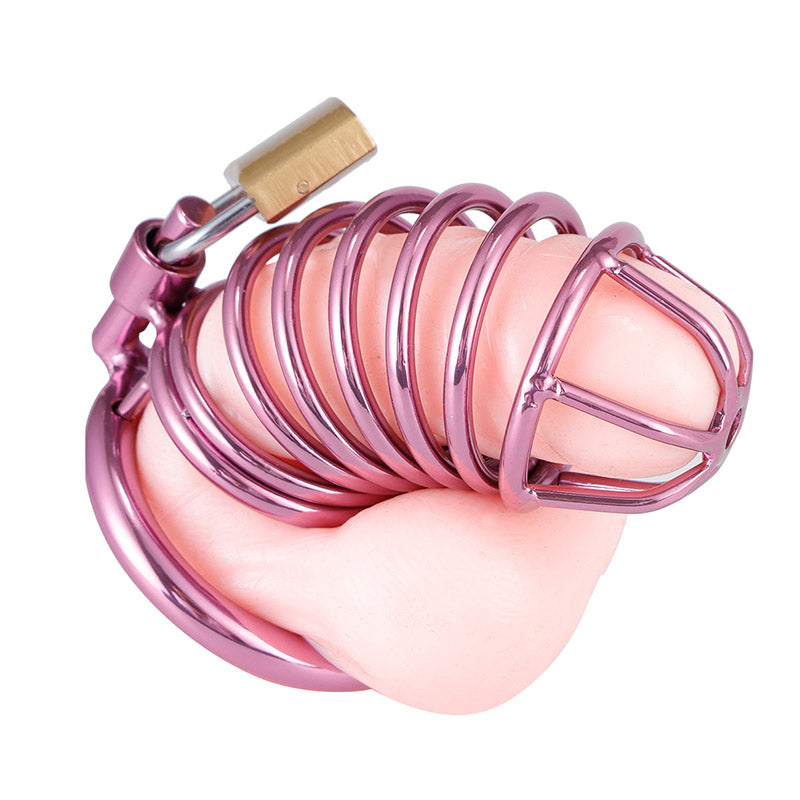 Metal Purple Chastity Cage Chastitycage.cc
