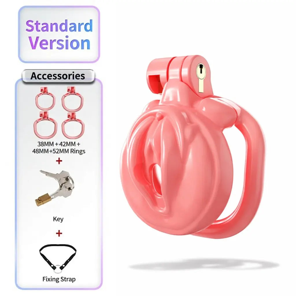 BDSM Sissy Chastity Cage  01 ChastityCageInt