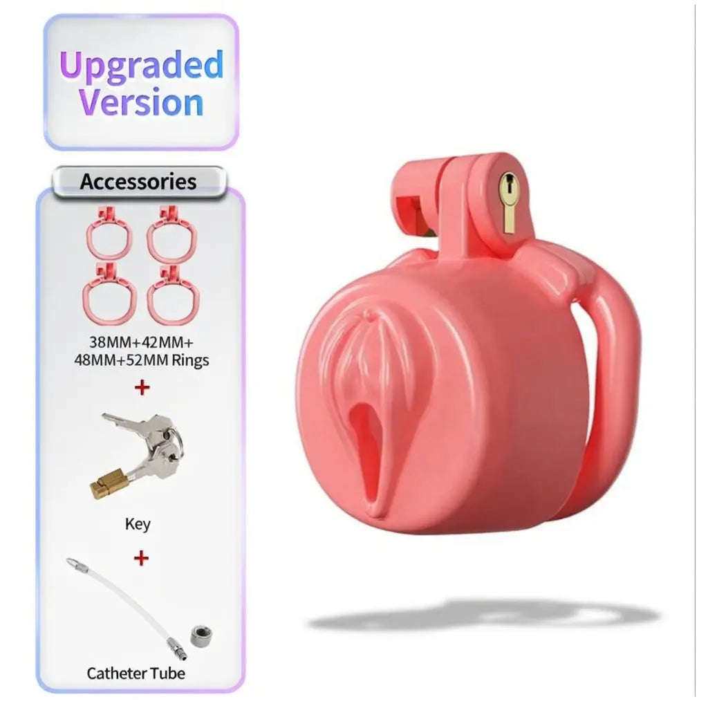 BDSM Sissy Chastity Cage 03 ChastityCageInt