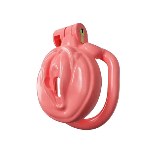 BDSM Sissy Chastity Cage  01 ChastityCageInt