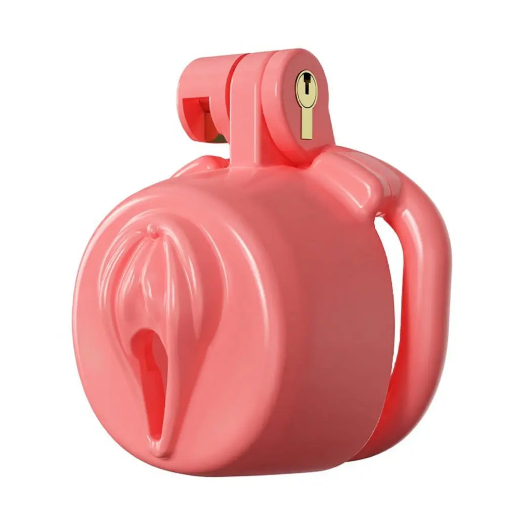 BDSM Sissy Chastity Cage 03 ChastityCageInt