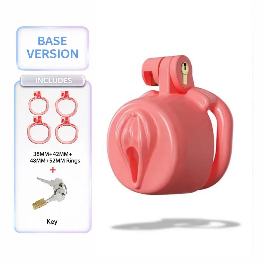 BDSM Sissy Chastity Cage 03 ChastityCageInt
