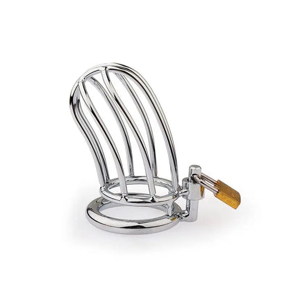BDSM Metal Chastity Cage 04 ChastityCageInt