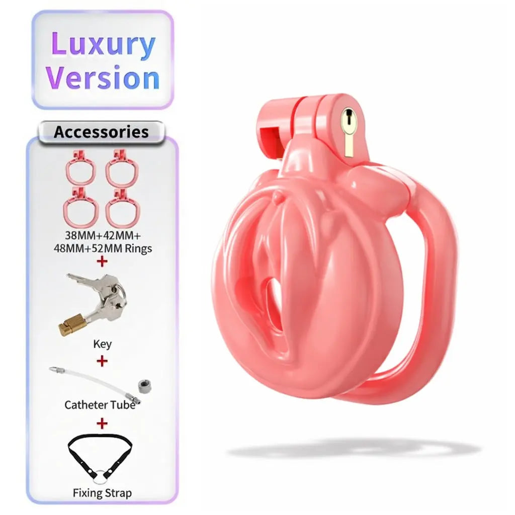 BDSM Sissy Chastity Cage  01 ChastityCageInt