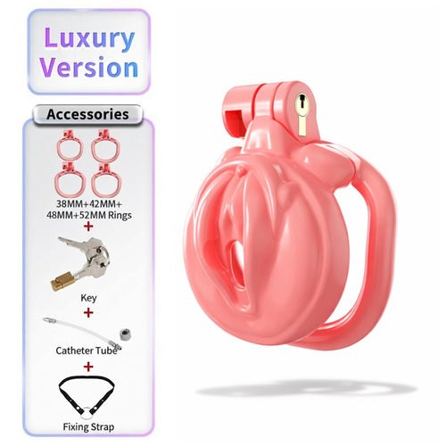 BDSM Chastity Cage  001