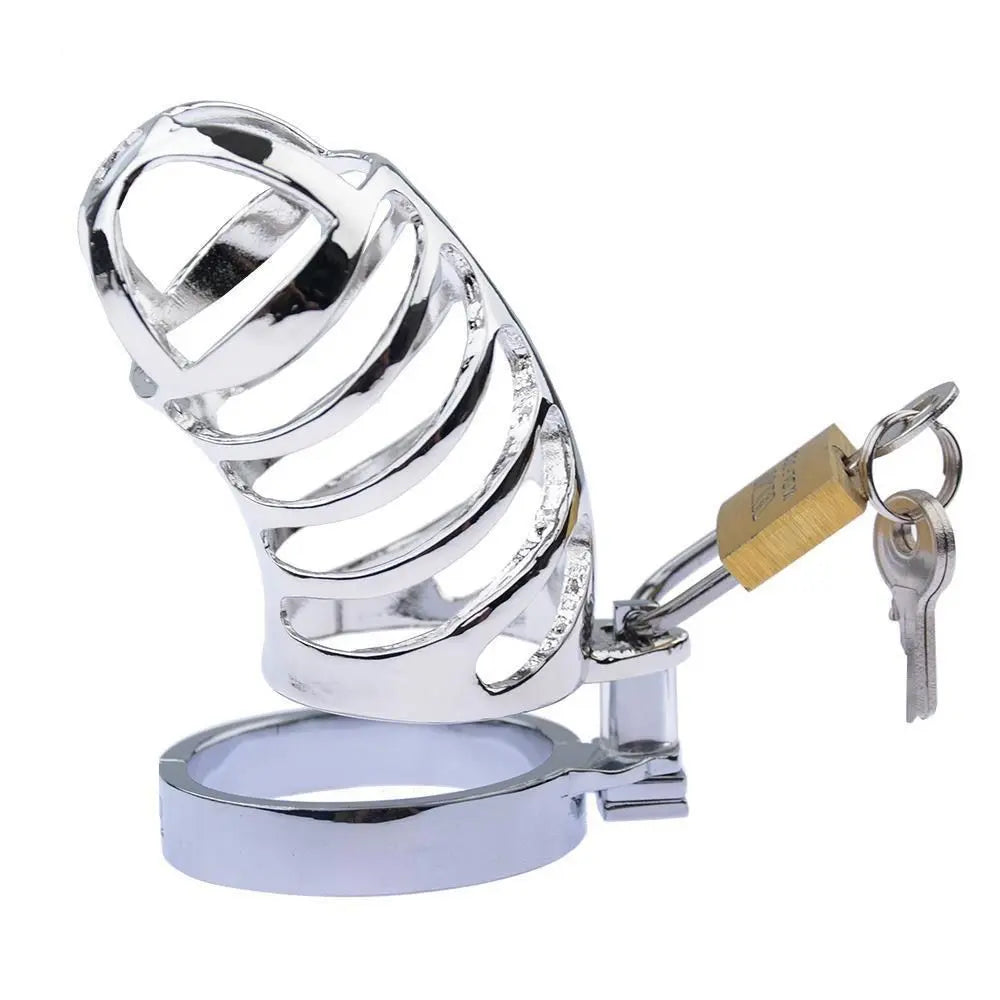 BDSM Metal Chastity Cage 05 ChastityCageInt