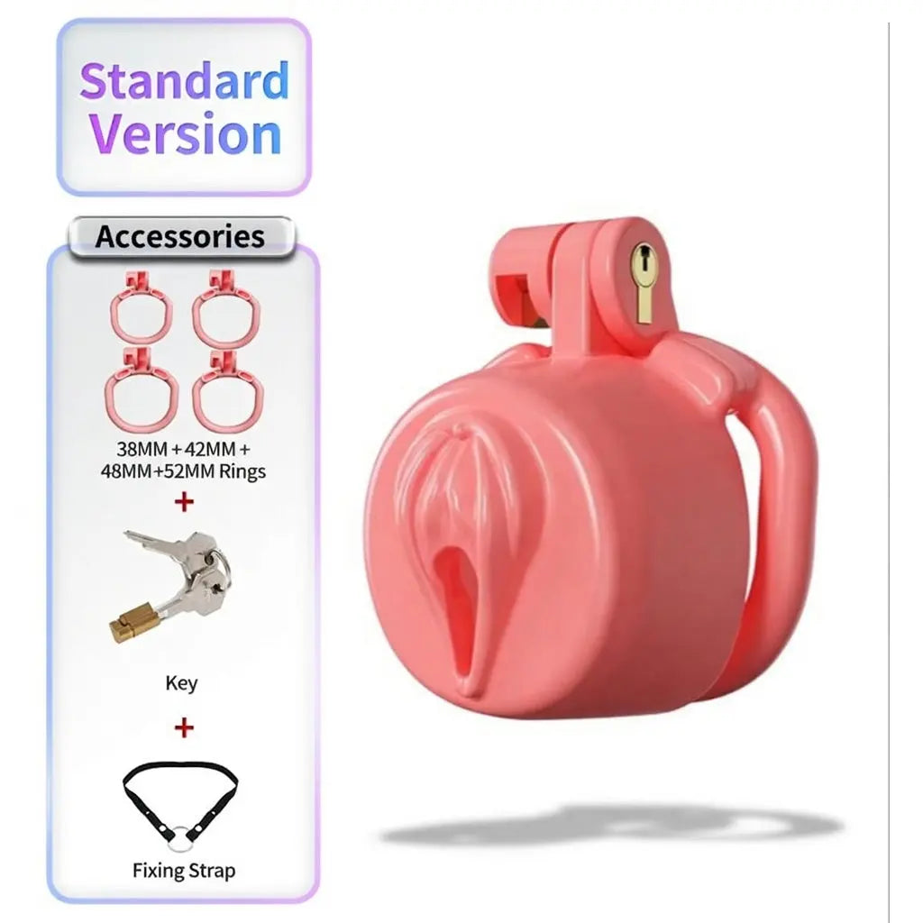 BDSM Sissy Chastity Cage 03 ChastityCageInt