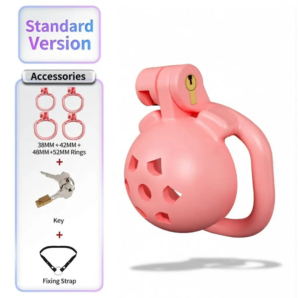 BDSM Sissy Chastity Cage  02 ChastityCageInt