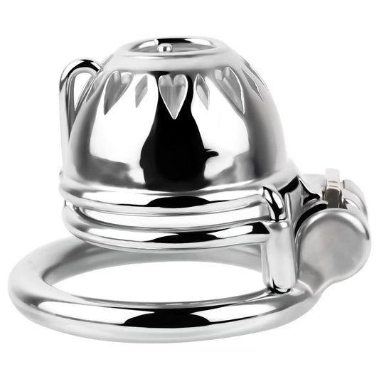 Small Chastity Cage with PA Chastitycage.cc
