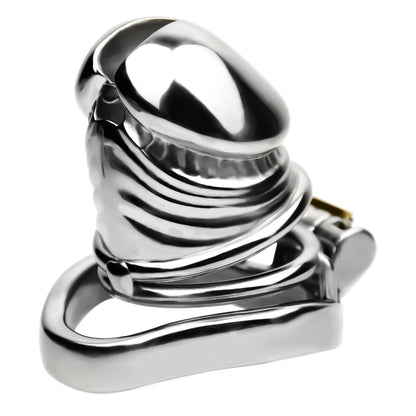 Steel Chastity Cage Chastitycage.cc