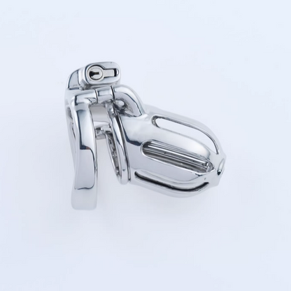 Steel Custom Chastity Cage With PA T10 Chastitycage.cc