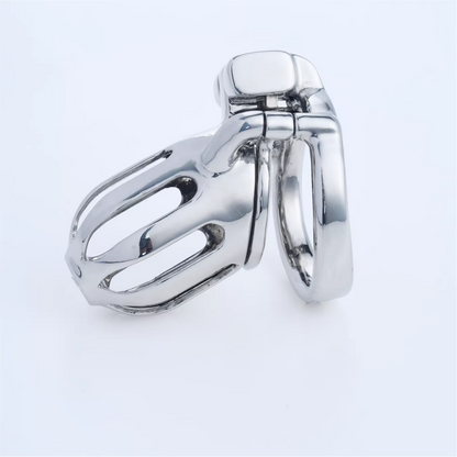 Steel Custom Chastity Cage With PA T10 Chastitycage.cc