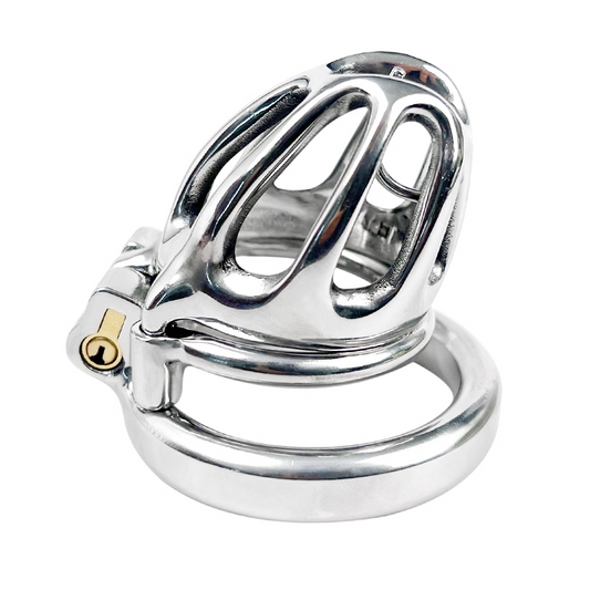 Steel Custom Cock Cage with PA Chastitycage.cc