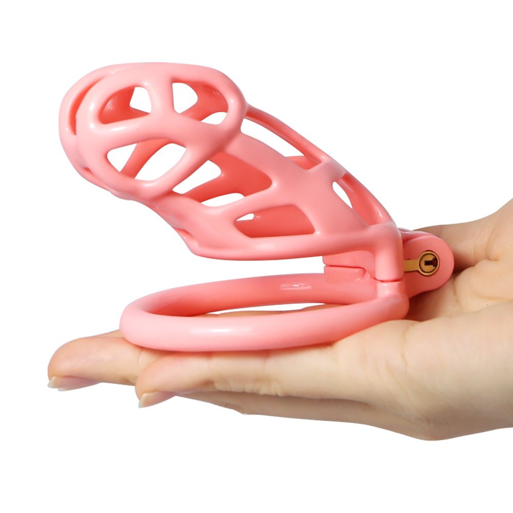 V2 Premium Paint Cobra Cage - 5 Sizes Chastitycage.cc